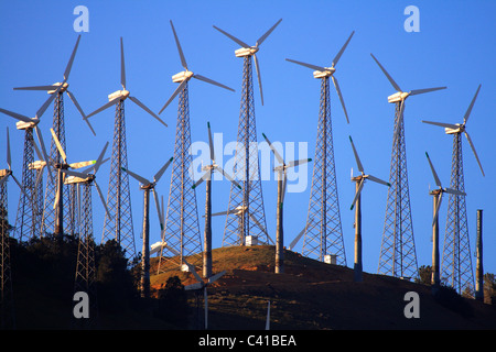 Stromerzeugende Windmühlen Tehachapi, CA Stockfoto