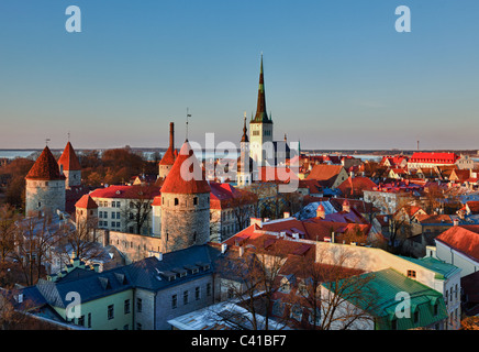 Hauptstadt von Estland, Tallinn ist berühmt für seine alten Stadtmauern Welterbe und gepflasterten Straßen. Die Altstadt ist umgeben von Steinmauern und unverwechselbaren roten Dächern Stockfoto