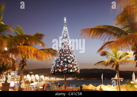 Weihnachtsbaum mit Blick auf Strand. Playa de Las Canteras, Las Palmas, Gran Canaria Stockfoto