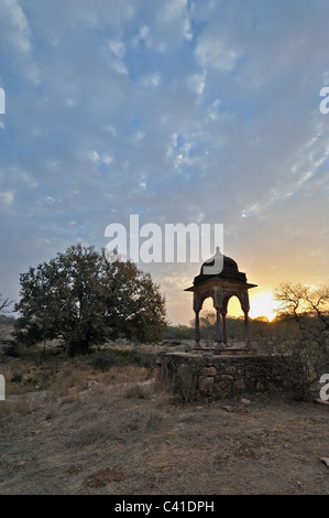 Reservieren Sie eine Chattri oder Hindu-Tempel in Rajasthans Ranthambore tiger Stockfoto