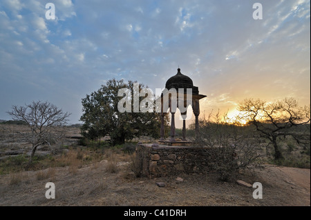 Reservieren Sie eine Chattri oder Hindu-Tempel in Rajasthans Ranthambore tiger Stockfoto