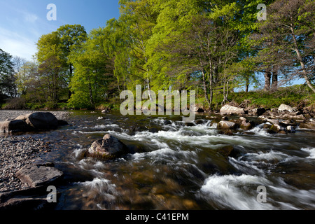 Frühling-Blick auf den Fluß Deveron nahe Huntly, Aberdeenshire, Schottland Stockfoto