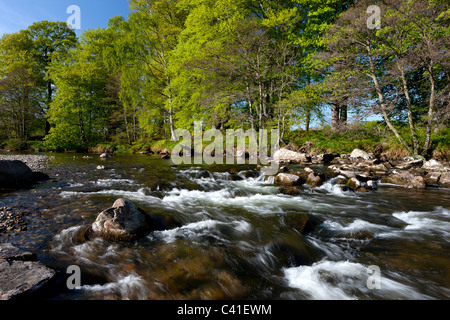 Frühling-Blick auf den Fluß Deveron nahe Huntly, Aberdeenshire, Schottland Stockfoto