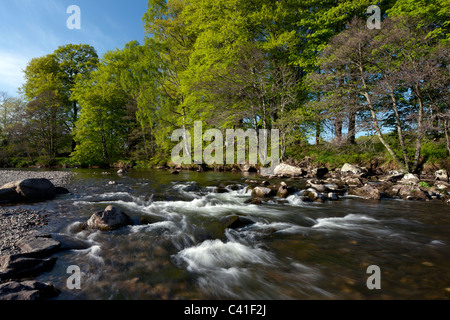 Frühling-Blick auf den Fluß Deveron nahe Huntly, Aberdeenshire, Schottland Stockfoto