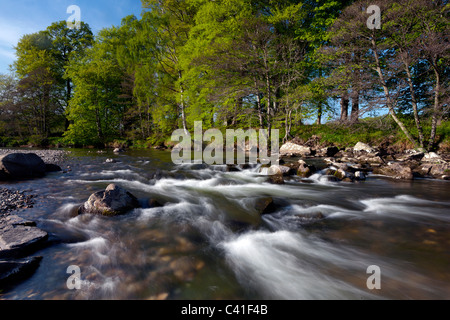 Frühling-Blick auf den Fluß Deveron nahe Huntly, Aberdeenshire, Schottland Stockfoto