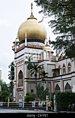 Die Zwiebel gewölbt Masjid Sultan Sultan-Moschee im Stadtteil Arabische Republik Singapur Singapur Asien Stockfoto