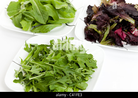 Spinat, rote Blatt Salat, Mizuna für Hintergrund Stockfoto