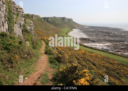 Blick entlang der Felsenweg am Oxwich Bucht, Halbinsel Gower, South Wales, UK Stockfoto
