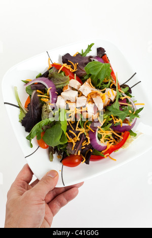 Salat, Salat, Mizuna, Zwiebel für Hintergrund Stockfoto