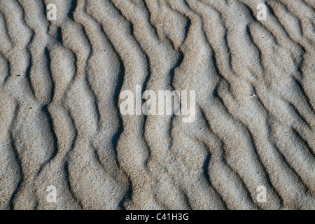 Wellen auf Sanddünen Florida USA Stockfoto