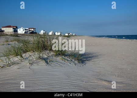 Wohnsiedlung entlang Golf von Mexiko St George Island Florida USA Stockfoto