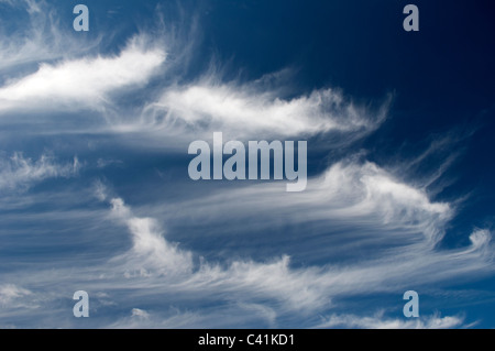 Cirruswolken am blauen Himmel genannt Cirrus-Himmel. Stockfoto