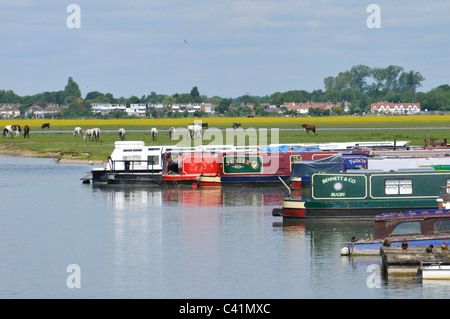 Schmale Boote auf der Themse bei Port Wiese, Oxford, England, UK Stockfoto