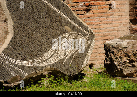 Italien, Rom, Terme di Caracalla, römische Mosaike, Fische Stockfoto