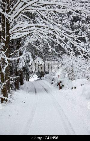 Verschneiten Pfad durch Wald Stockfoto