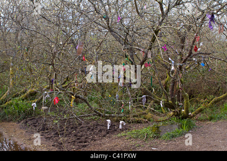 Der Brunnen am Madron (Eglosvadern) in West Cornwall, eine heidnische Seite mit "Clouties" (Bits des Gewebes) gebunden an Bäume über dem Wasser Stockfoto