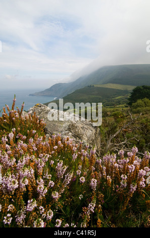 Serra da Capelada, Nord West Küste von Galicien, Spanien Stockfoto