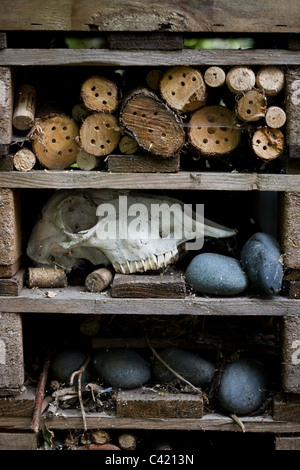 Ein Schaf Skul, Steinen und sortierte Holz Tierwelt in ein Insekt Gartenhaus zu fördern Stockfoto