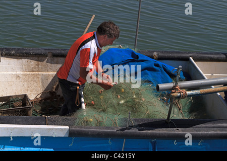 Fischer entwirren Fisch aus einem Netz in Tavira, Algarve, Portugal Stockfoto