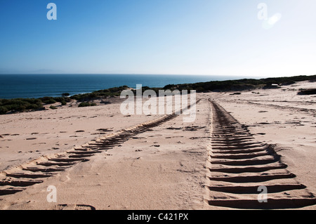 Reifenspuren im Sand führt über die Dünen Stockfoto