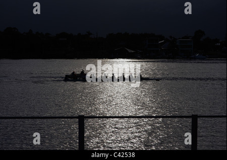 Ruderer auf dem Brisbane River Australien in der silhouette Stockfoto