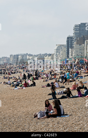 Menschen, die am Brighton Beach in East Sussex in Großbritannien sitzen. Stockfoto