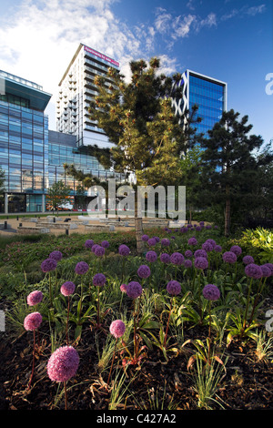 Grüner Bereich, Media City, Salford Quays, Manchester, UK Stockfoto