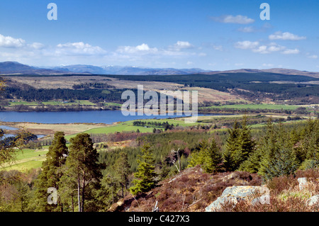 Panoramablick über den Kyle of Sutherland, genommen in der Nähe von Bonar Bridge, Schottland an hellen, sonnigen Tag Stockfoto