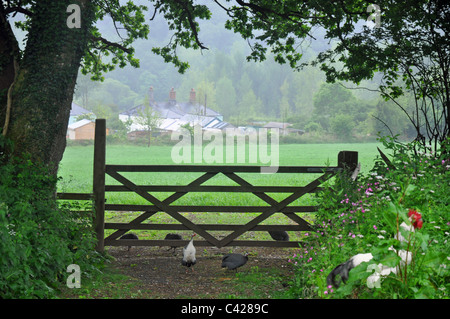 Morwellham Quay Devon England: Teil der historischen Exponate Stockfoto