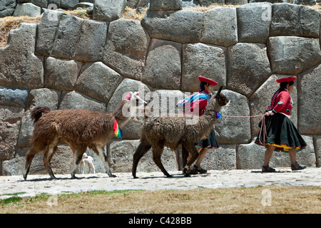 Peru, Cusco, Cuzco, Saqsayhuaman, Sacsayhuaman, Sacsaywaman. Indische Frauen mit Lamas und Alpakas. UNESCO-Weltkulturerbe. Stockfoto