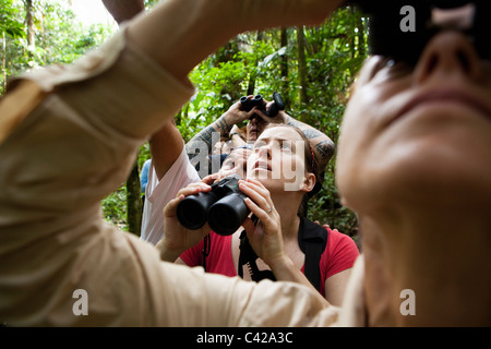 Peru, Cruz de Mayo, Manu Nationalpark, UNESCO-Weltkulturerbe, Fredy Berge. Touristen im Wald wandern. Stockfoto