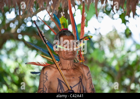 Manu Nationalpark, Fredy Berge. indigenen Mann aus Harakmbut Indianer in feierlichen Kleid mit Arafedern. Stockfoto