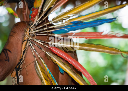 Manu Nationalpark, Fredy Berge. indigenen Mann aus Harakmbut Indianer in feierlichen Kleid mit Arafedern. Stockfoto