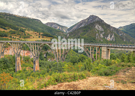 Durdevica gewölbt Tara Brücke über Grüne Tara-Schlucht. Einer der tiefsten Schluchten der Welt und UNESCO World Heritage, Montenegro. Stockfoto