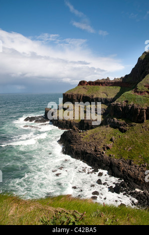 Die zerklüftete Küste an die Giants Causeway, einem Weltkulturerbe in der Nähe von Bushmills in Nordirland Land Antrim Stockfoto