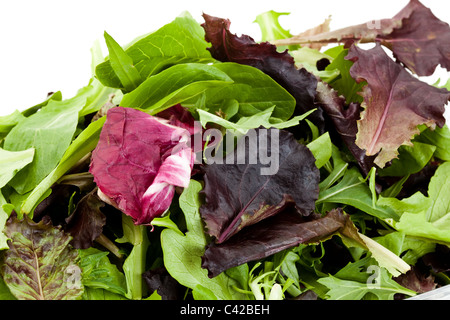 Spinat, rote Blatt Salat, Mizuna für Hintergrund Stockfoto