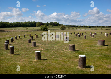 Woodhenge Wiltshire England UK Stockfoto