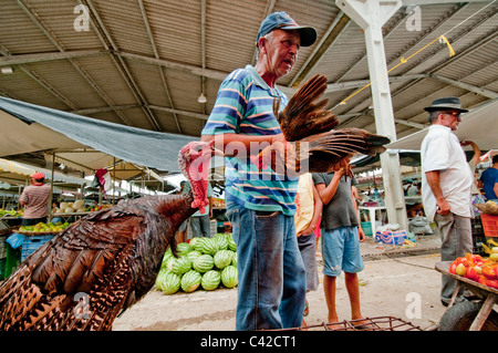 Markt am Caninde in der Nähe von Piranhas im Nordosten Brasiliens Algoas Stockfoto