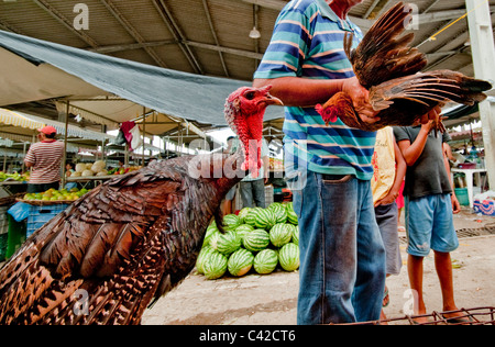 Markt am Caninde in der Nähe von Piranhas im Nordosten Brasiliens Algoas Stockfoto