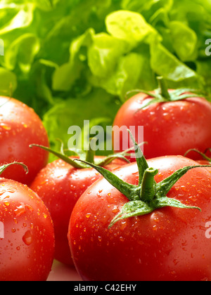 Reben gereifte Tomaten Stockfoto