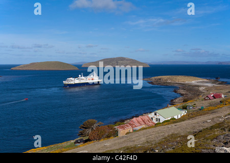 Die Siedlung am New Island, West Falkland-Inseln Stockfoto