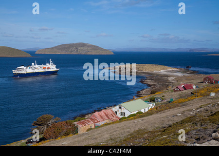 Die Siedlung am New Island, West Falkland-Inseln Stockfoto
