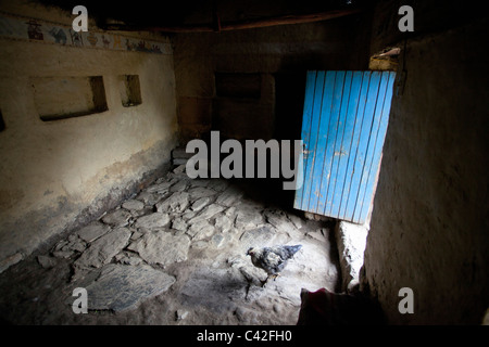 Peru, Patakancha, Patacancha, Dorf in der Nähe von Ollantaytambo. Huhn im Raum des indischen Familie. Stockfoto