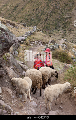 Peru, Patakancha, Patacancha, Dorf in der Nähe von Ollantaytambo. Indischen Jungen und Mädchen in Tracht, die Schafe hüten. Stockfoto