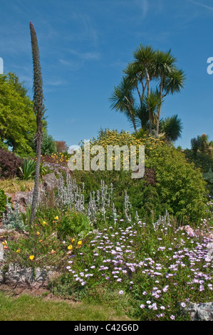 Torre Abbey Gardens Torquay Devon England Stockfoto