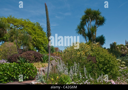 Torre Abbey Gardens Torquay Devon England Stockfoto