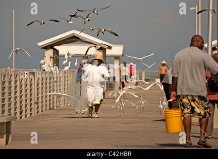 Fort De Soto Florida Stockfoto