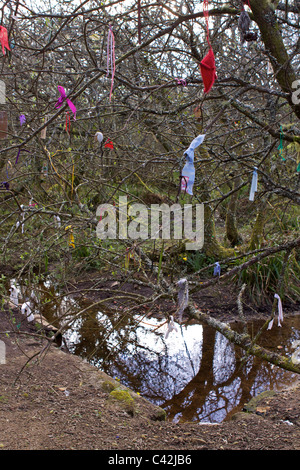 Der Brunnen am Madron (Eglosvadern) in West Cornwall, eine heidnische Seite mit "Clouties" (Bits des Gewebes) gebunden an Bäume über dem Wasser Stockfoto