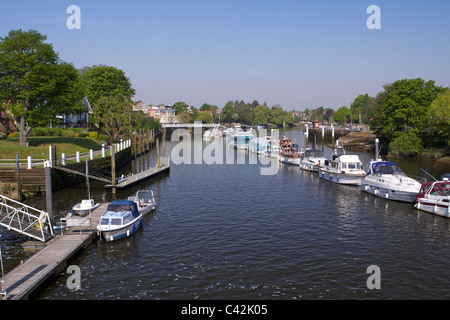 Blick flussabwärts bei Teddington Lock an einem sonnigen Frühlingstag mit Vergnügen und Freizeit Boote vertäut neben schwimmenden Pontons Stockfoto