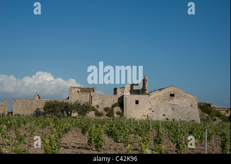 Alte verlassene Bauernhaus in Weingarten, West-Sizilien, Italien Stockfoto